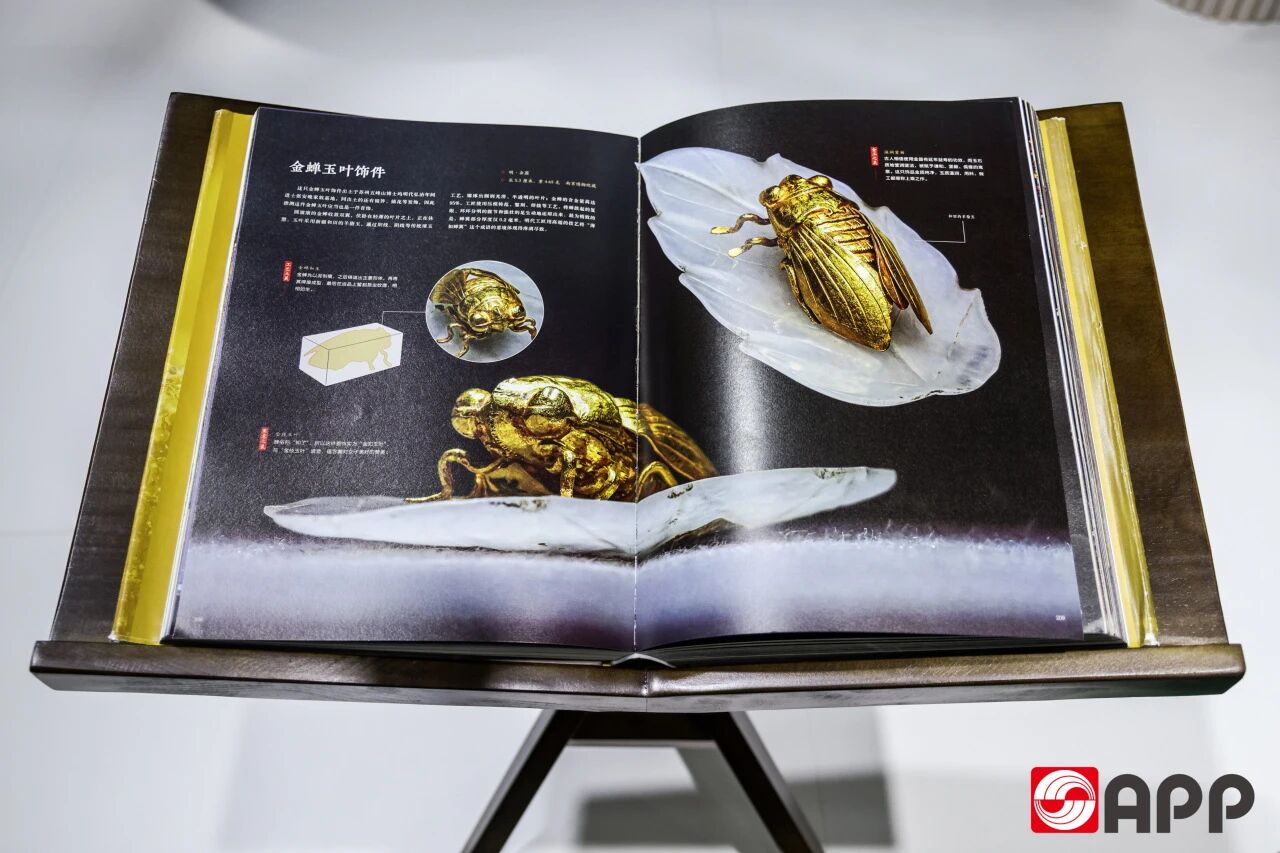 官网- 欧陆平台 | 帐号ID注册 - 会员登录中心