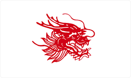 APP中国纸浆品牌：：：龙